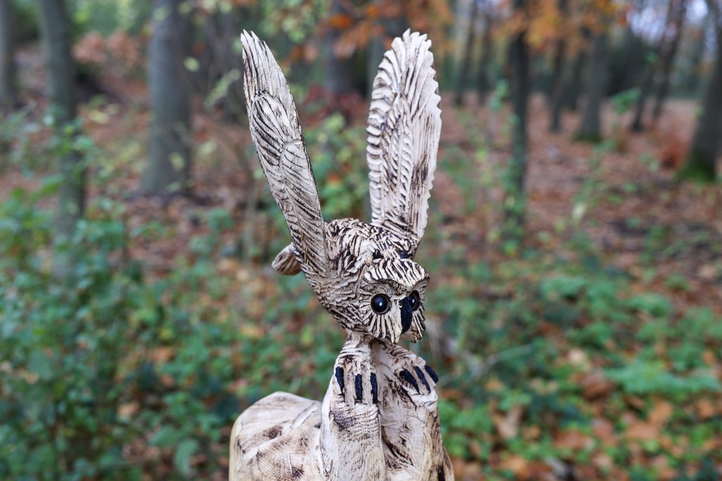 5U6A3409 (1).jpg Die Holzskulptur eines Kauzes inmitten des Wäldchens: sie hält die Flügel hochgestreckt, als würde sie gleich losfliegen.