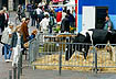Regio Markt #4 (klein) zur Bildergalerie Regionaler Markt 2002